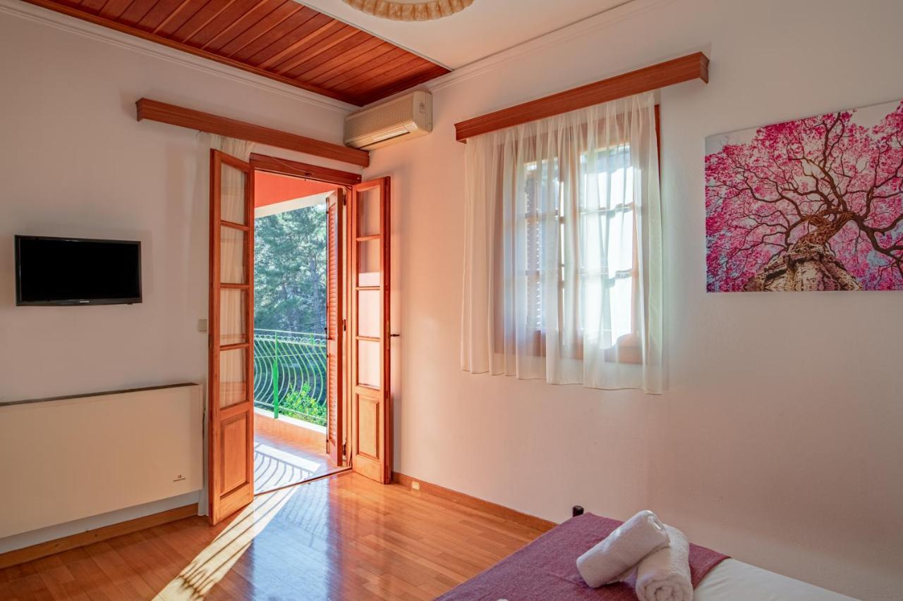 Golden Flower's Apartament *